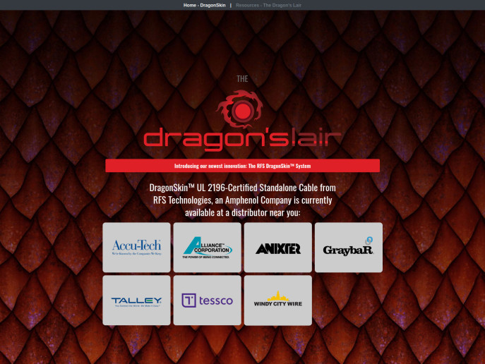 screenshot of the dragon skin landing page